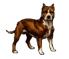 perro-473.gif