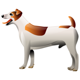 perro-520.png
