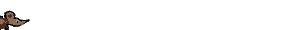 raton-003.gif