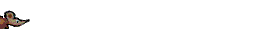 raton-008.gif