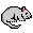 raton-009.gif