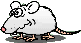 raton-038.gif