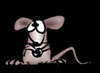 raton-054.jpg