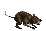 raton-072.gif