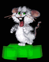 raton-083.gif