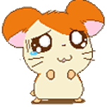 raton-100.gif