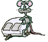 raton-101.gif