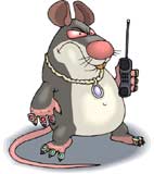 raton-107.jpg