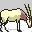 reno-alce-ciervo-venado-018.gif