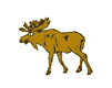 reno-alce-ciervo-venado-035.gif