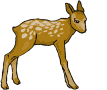 reno-alce-ciervo-venado-042.gif