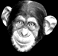 simio-mono-primate-gorila-059.gif