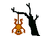 simio-mono-primate-gorila-074.gif