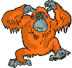 simio-mono-primate-gorila-092.gif