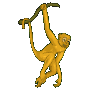 simio-mono-primate-gorila-093.gif