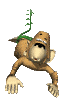 simio-mono-primate-gorila-094.gif