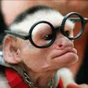 simio-mono-primate-gorila-112.jpg