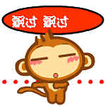 simio-mono-primate-gorila-137.gif