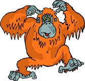simio-mono-primate-gorila-152.jpg
