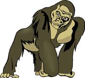 simio-mono-primate-gorila-153.jpg