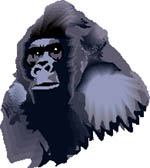 simio-mono-primate-gorila-154.jpg