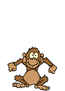 simio-mono-primate-gorila-157.gif
