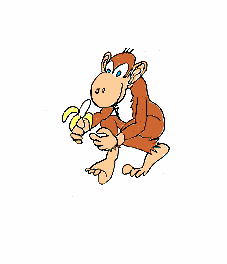 simio-mono-primate-gorila-172.gif
