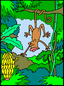 simio-mono-primate-gorila-174.gif