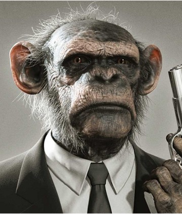 simio-mono-primate-gorila-175.jpg