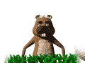 topo-003.gif