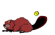 topo-005.gif