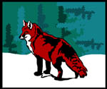 zorro-027.jpg