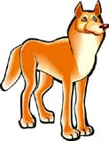 zorro-034.jpg