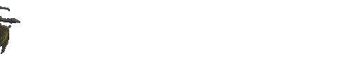 dragon-066.gif