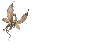 dragon-146.gif