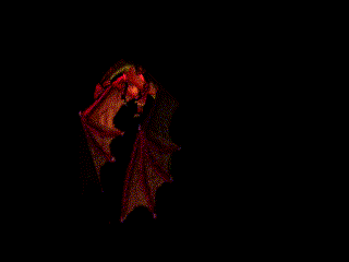 dragon-186.gif