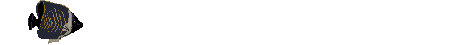 pez-123.gif