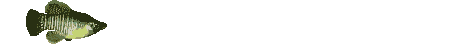 pez-124.gif