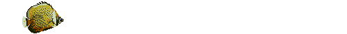 pez-128.gif