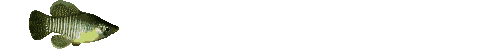 pez-132.gif