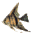 pez-133.gif
