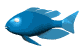 pez-136.gif