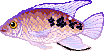 pez-137.gif