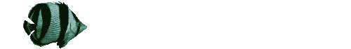 pez-163.gif