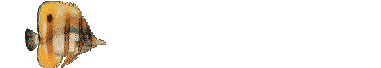 pez-165.gif