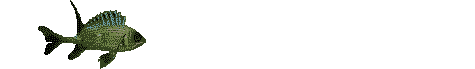 pez-167.gif
