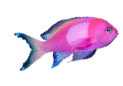 pez-199.gif