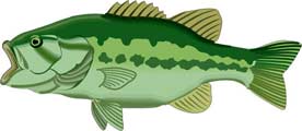 pez-231.jpg