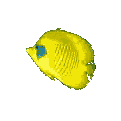 pez-232.gif