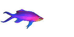 pez-234.gif